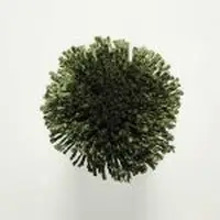T121 Jungle Green
