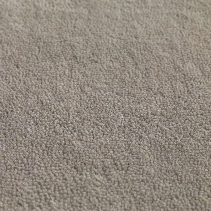 Jaspur pp 400 500: Titanium
