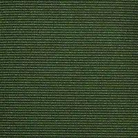 357750 Winter Green