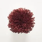 FdS Band 0 Botanical Silk (T): T21 Ruby