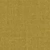 224