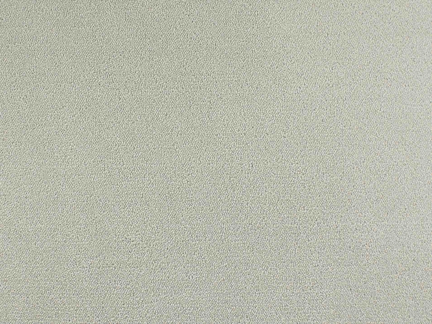 Chablis 100% Nylon lxb 400 500  : 130103 Antique