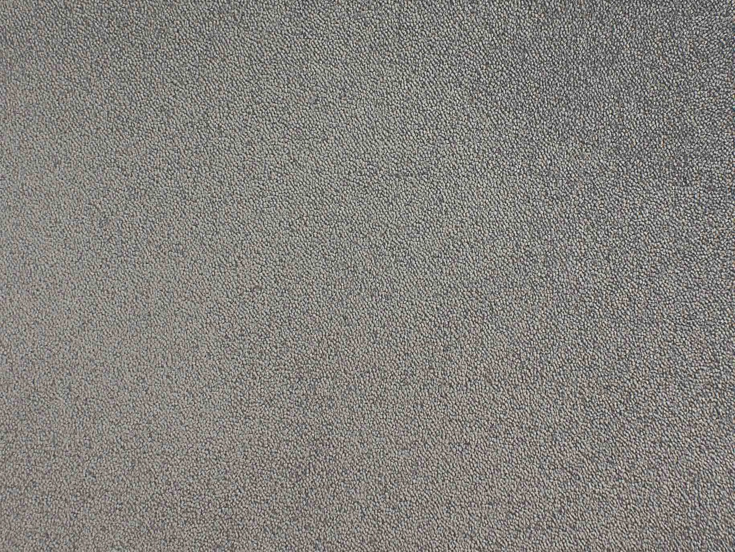 Chablis 100% Nylon lxb 400 500  : 130308 Grey