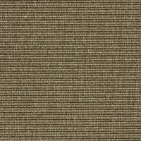 T394150 Simply Taupe