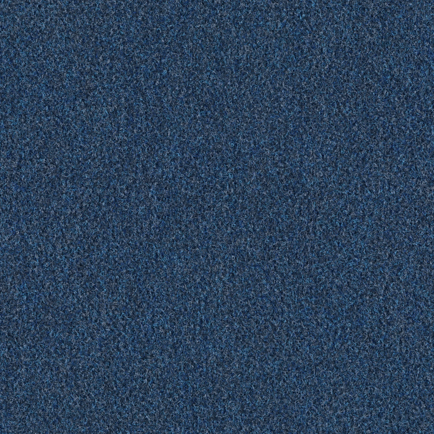 Scor 550 AP 200: 0561 Royal