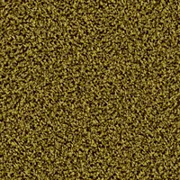 6869 Shining Feeld
