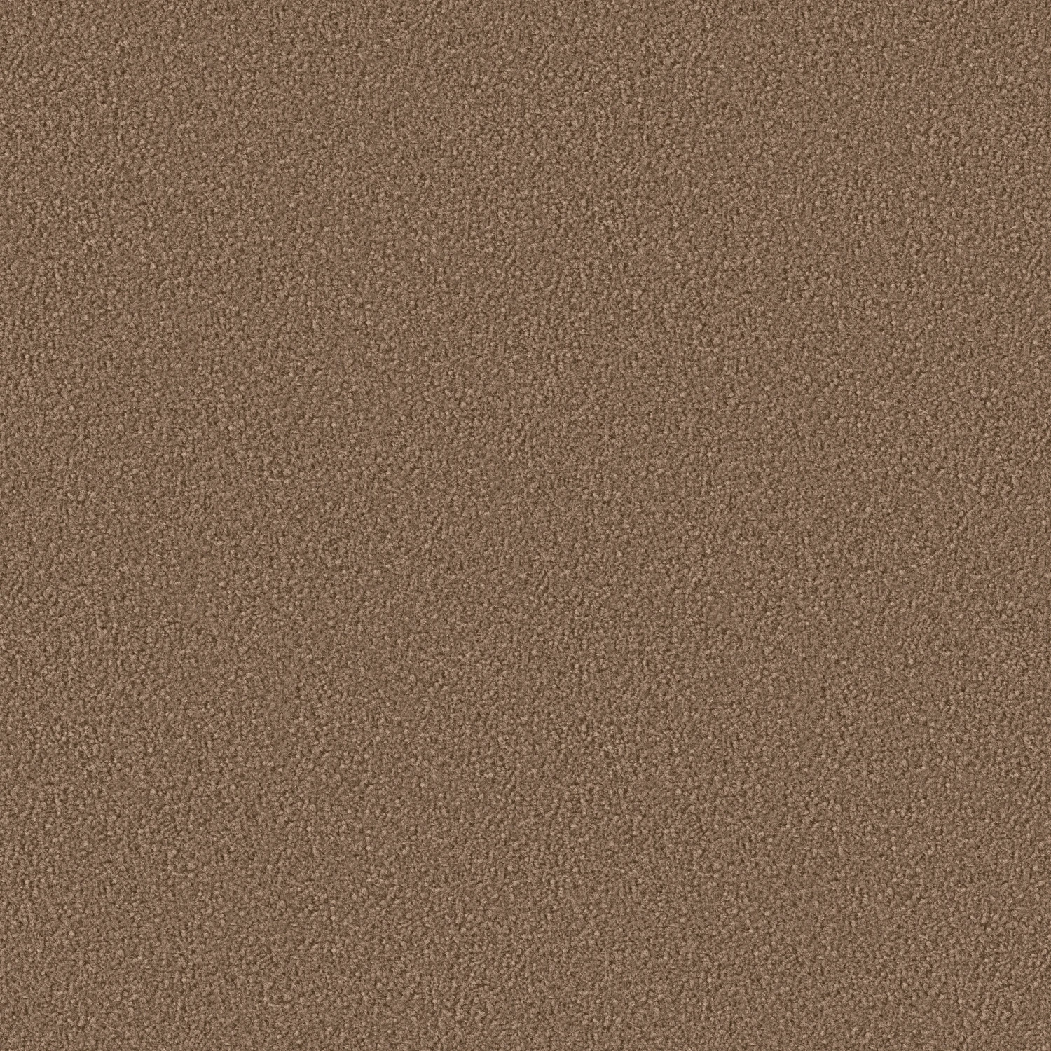 Contract 1000 Acoustic 50x50 cm: 1066 Puder