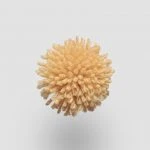 FdS Band 0 New Zealand Wool (W): W682 Apricot