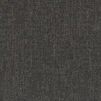 Charcoal 53557
