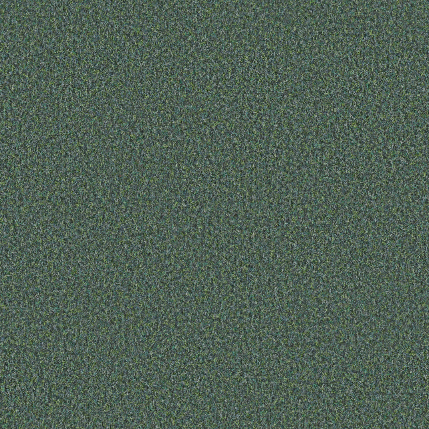 Scor 550 AP 200: 0553 Wiese