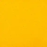 0231 Yellow