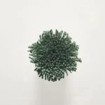 FdS Band 0 Botanical Silk Contract (TT): TT168 Cactus Green