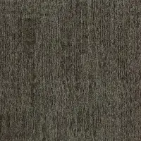 22210 Wolf
