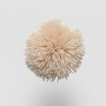FdS Band 0 Mohair (TW): TW668 Light Peach