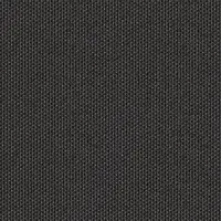 0736 Black Pearl