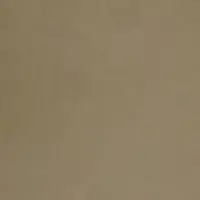 Beige 50