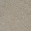 720730 Cammello
