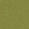 1401 Pesto
