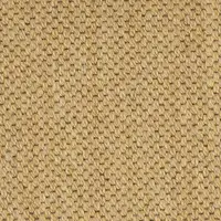 865 Apricot