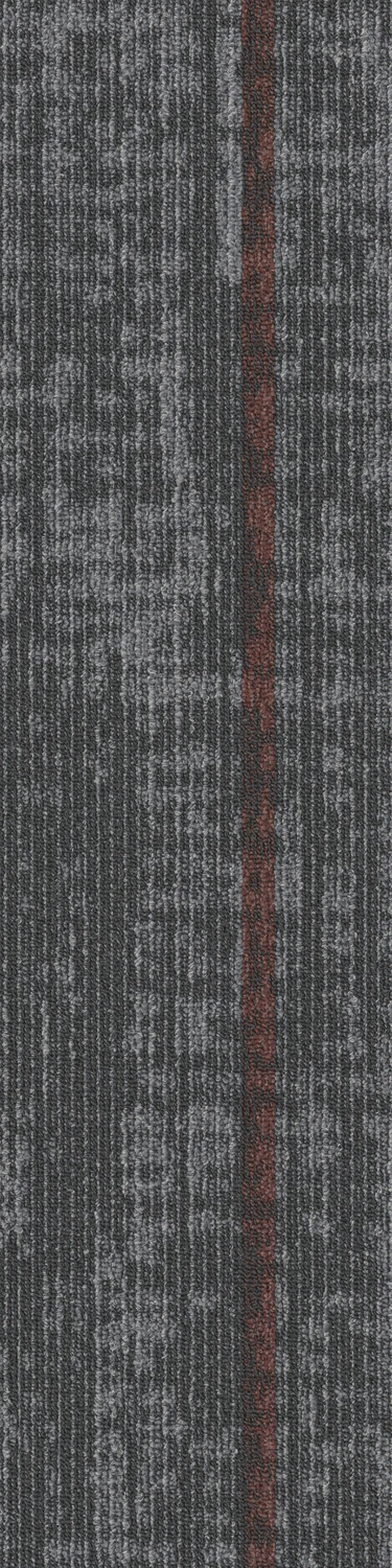Assembly Convene tw sd 25x100 cm: Dynamic Foundation 67582