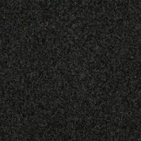 SY81 Signal Black