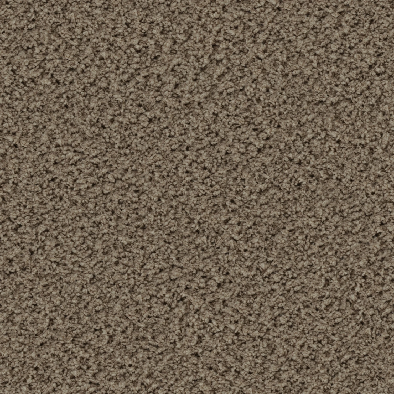 Eddy 2100 cab 400: 2155 Taupe