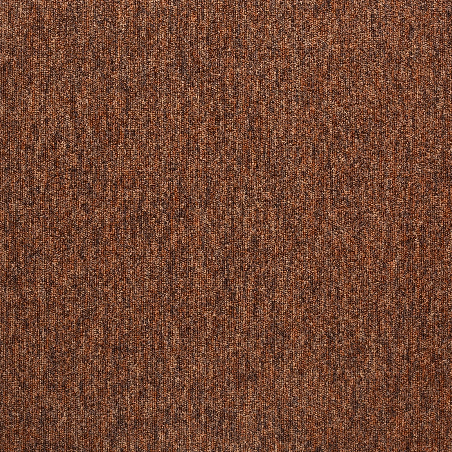 Tivoli sd acc 50x50 cm: 20280 Cuban Brown