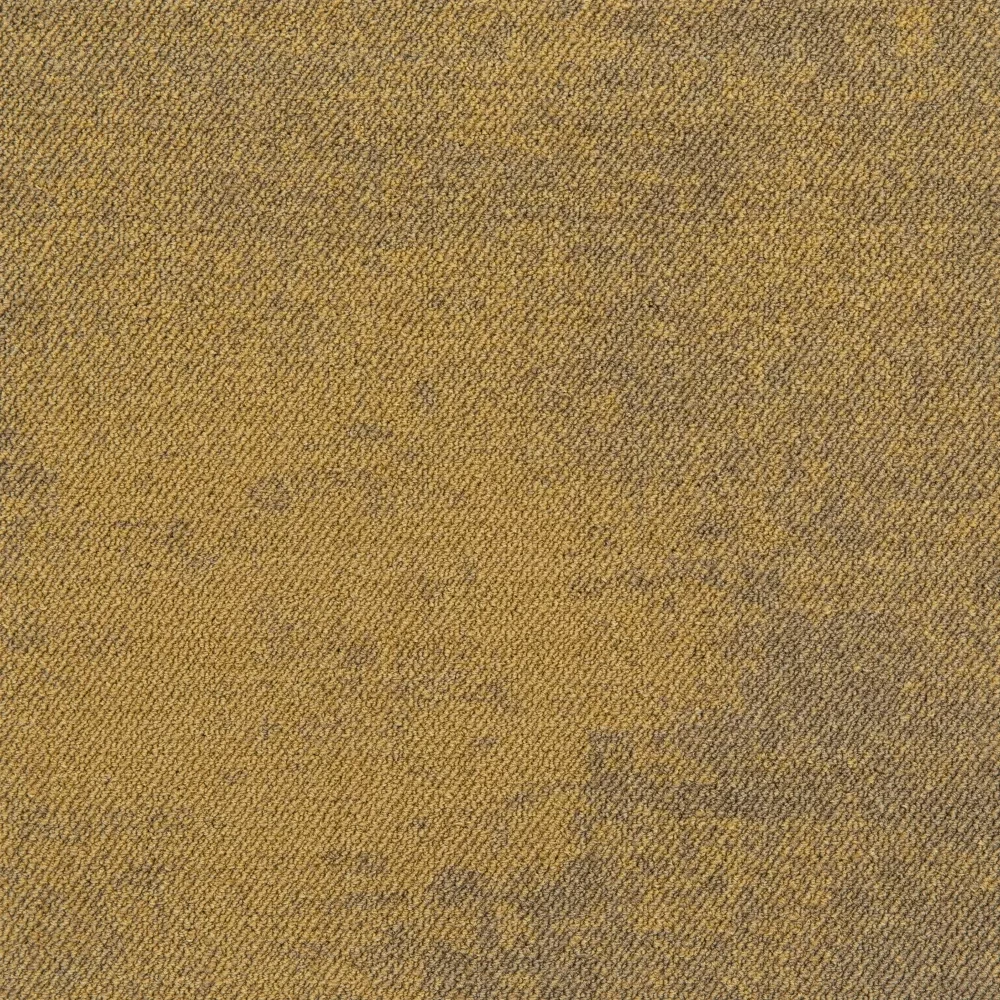 Haze lp b2b 50x50 cm: LP 224