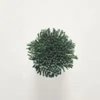 TT168 Cactus Green