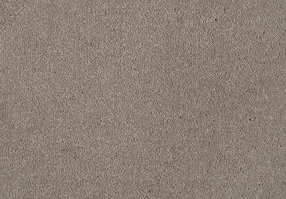 Dream 32 sb 400 500: UIO.261 Camel 1
