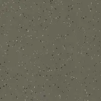 G477
