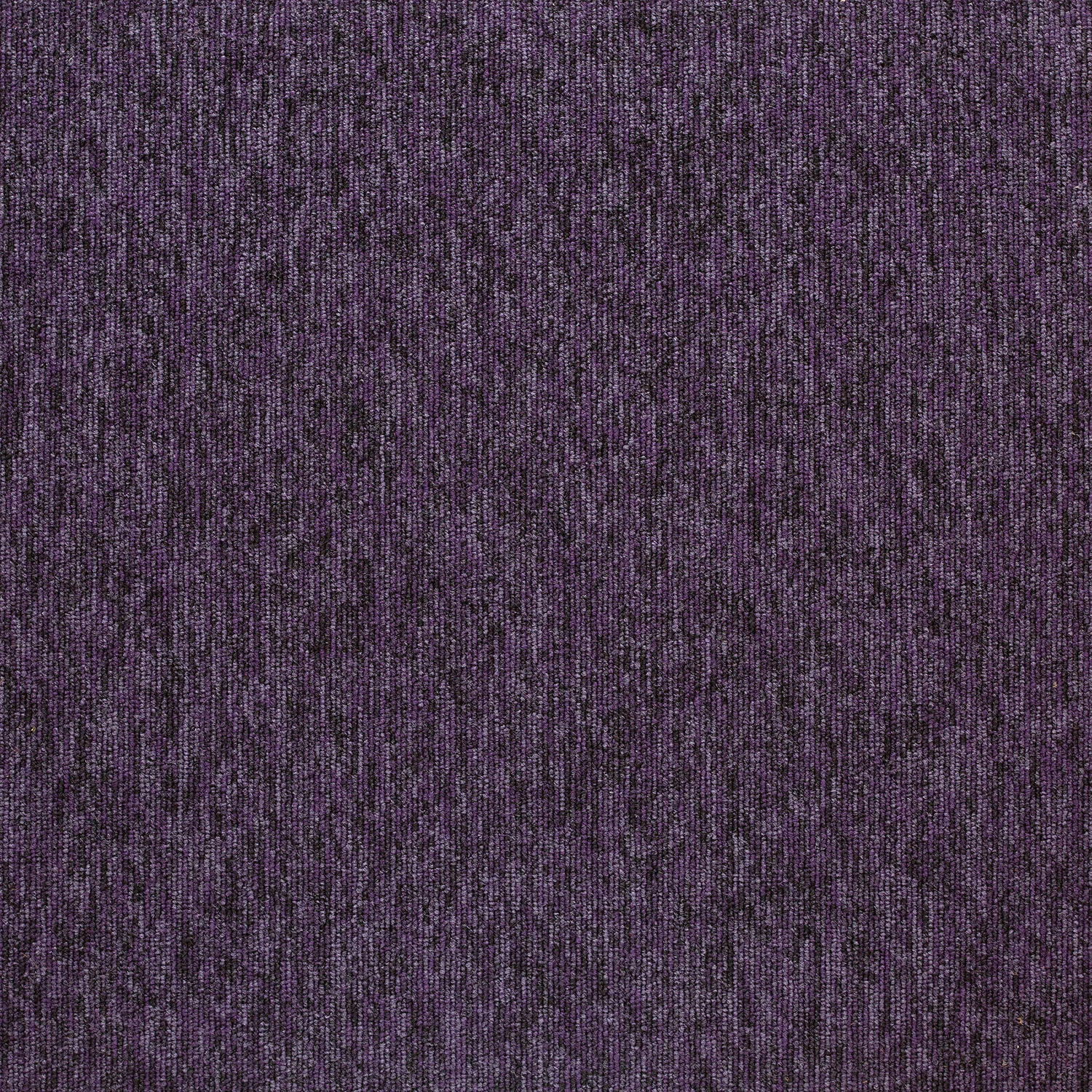 Tivoli sd acc 50x50 cm: 20270 Pinta Purple