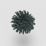 FdS Band 0 New Zealand Wool (W): W230 Deep Green