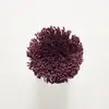 T10 Purple
