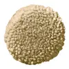 Celeriac
