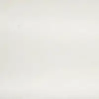 White 20
