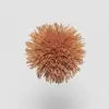 TW845 Apricot Orange