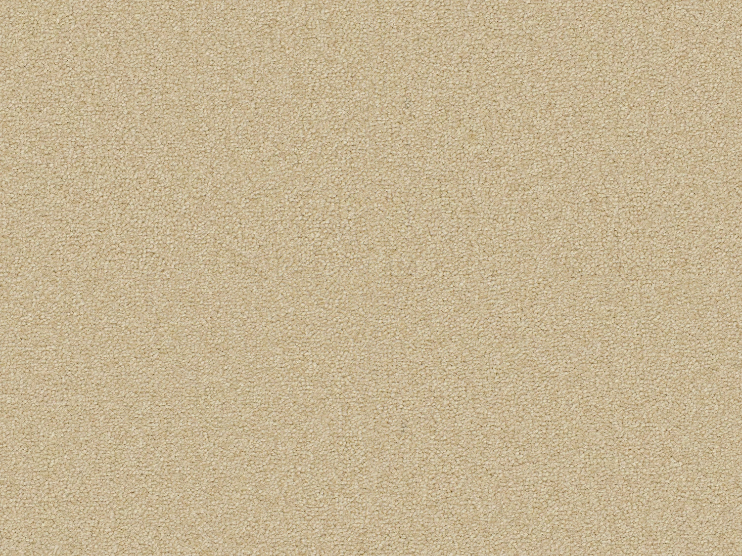 Sienna 33 sb 400 500: 240 Cream
