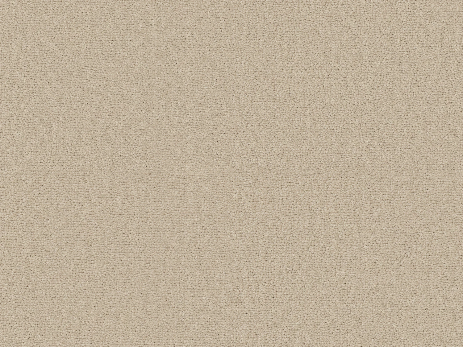 Sienna 33 sb 400 500: 260 Camel