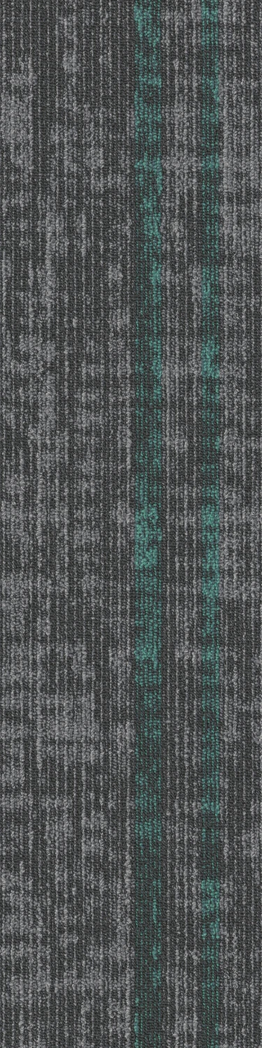Assembly Convene tw sd 25x100 cm: Vivid Foundation  67584