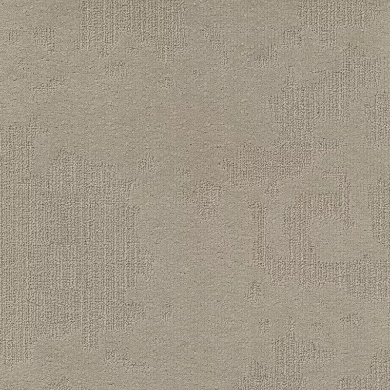 Velvet& sd b2b 50x50 cm