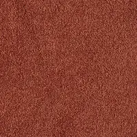 150248 Rust