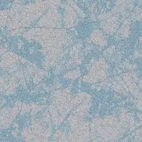 36114 Oceanic