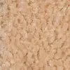 Sahara