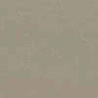 9841 Moleskin