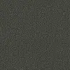 0954 Field