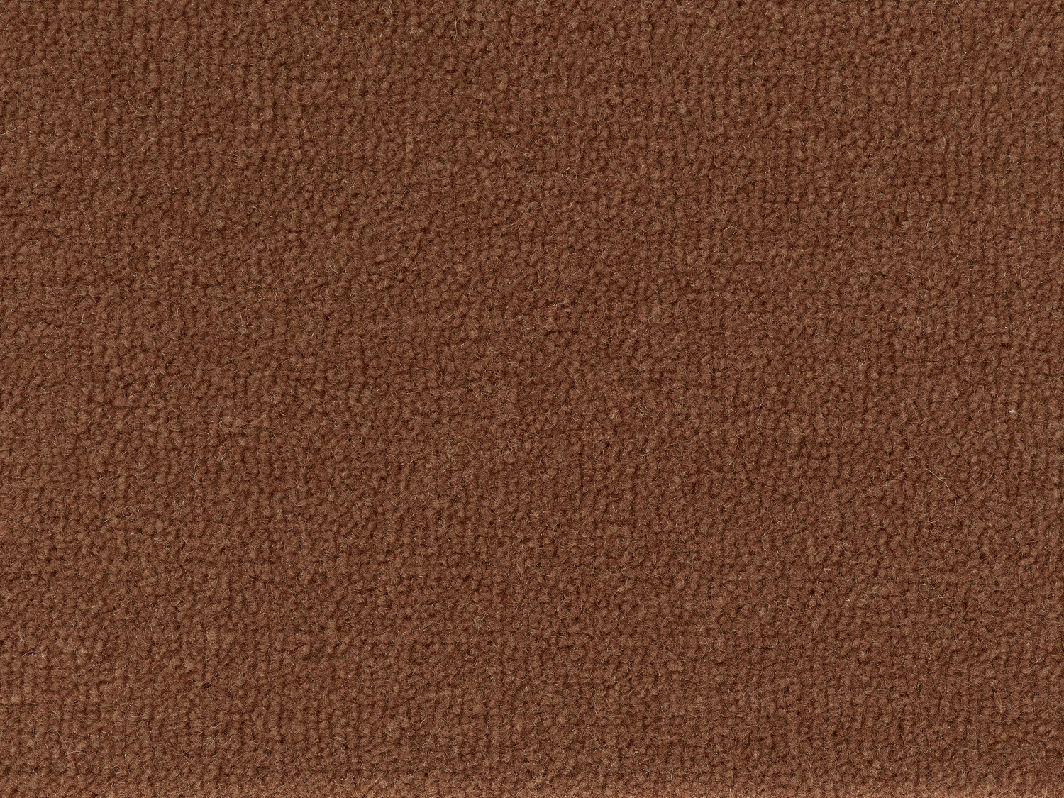 Eternity ab 400 500: Terra