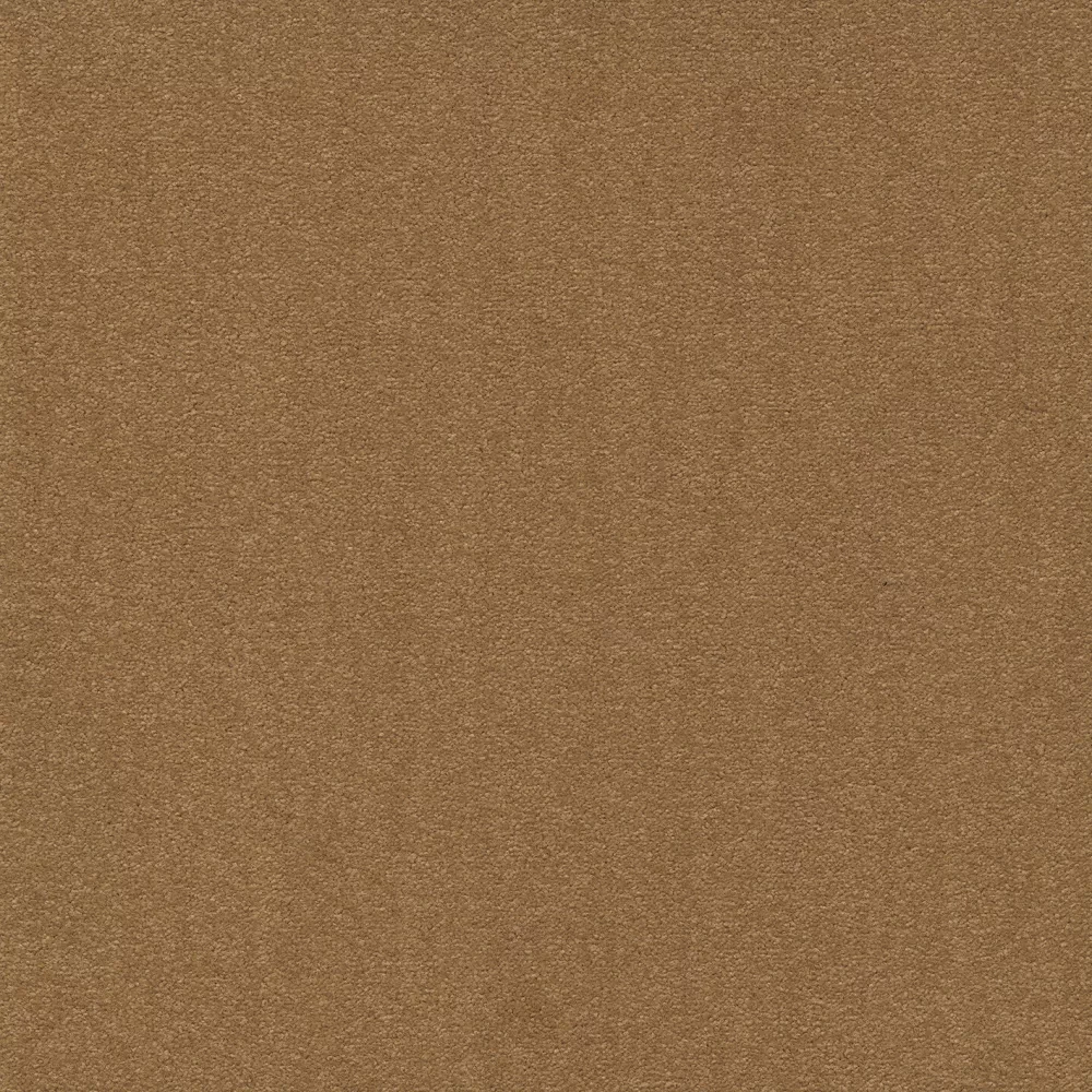 Cambridge& b2b 50x50 cm: 224