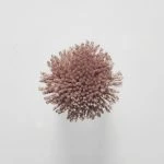 FdS Band 0 Botanical Silk Contract (TT): TT157 Terracotta