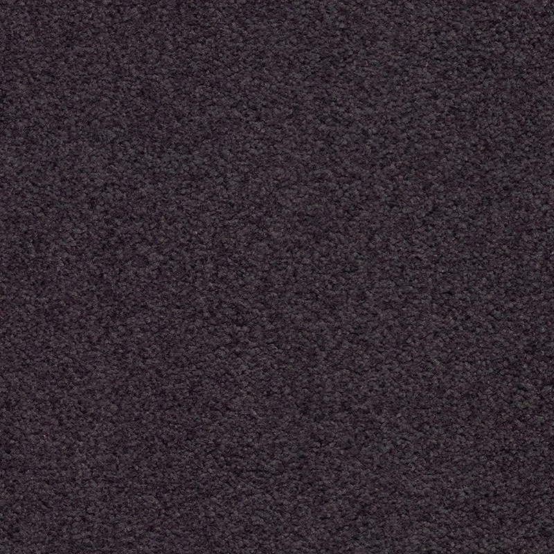 Zenith ab 400: 371650 Purple Velvet